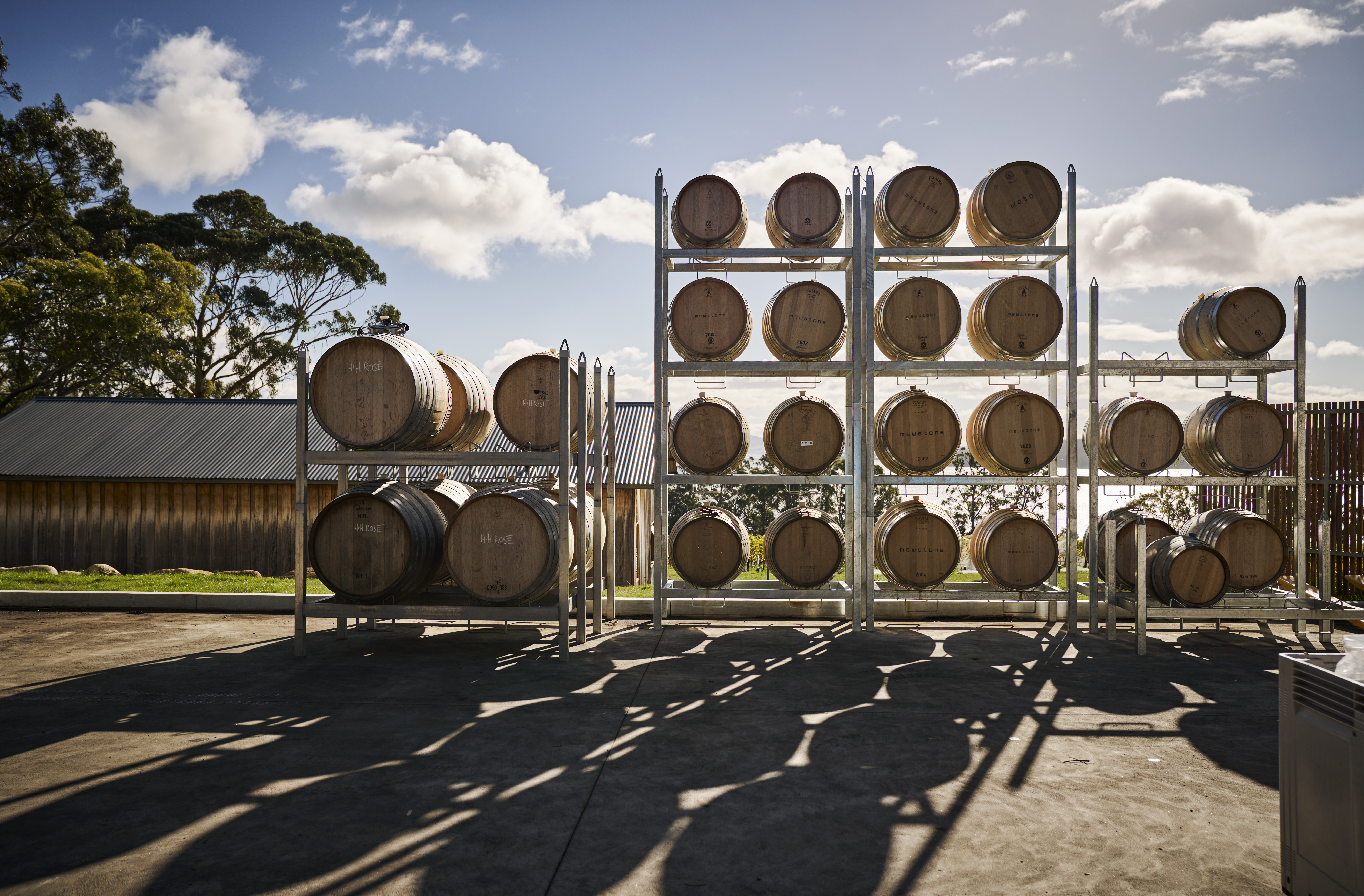 Mewstone Wines barrels 